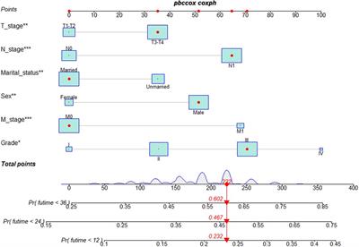 Construction and validation of a nomogram model to predict the overall survival rate of esophageal cancer patients receiving neoadjuvant chemotherapy: A population-based study